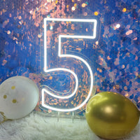 Number Neon Sign (0-9)