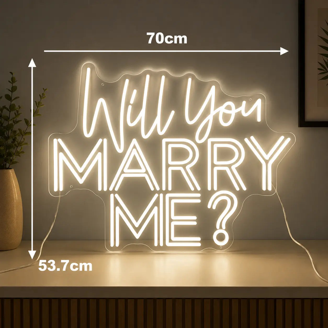Will You Marry Me LED Neon Sign